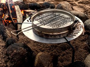 Grille de barbecue